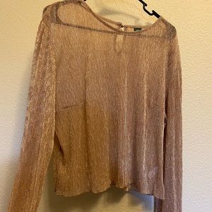 Sheer Gold Wild Fable Blouse
